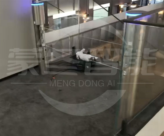 无锡室内圆柱摆闸人脸识别立柱闸机